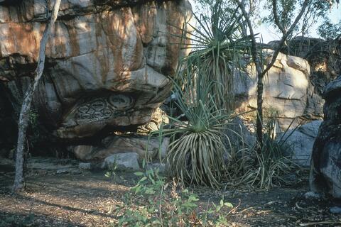 Open original Digital object