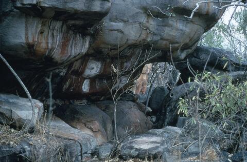 Open original Digital object