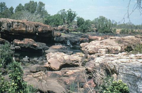 Open original Digital object