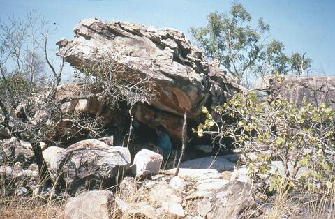 Open original Digital object