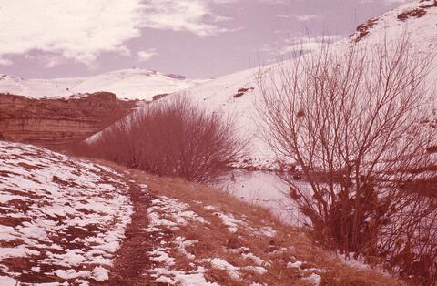 Open original Digitaal object