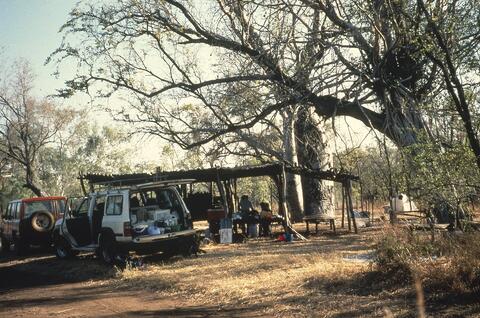 Open original Digital object