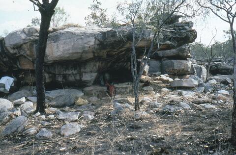 Open original Digital object