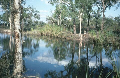 Open original Digital object