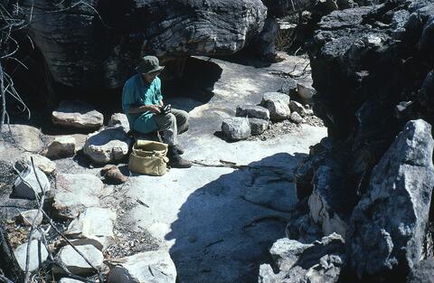 Open original Digital object