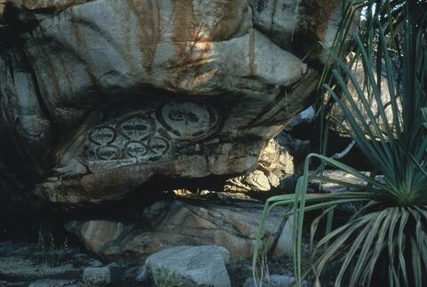 Open original Digital object