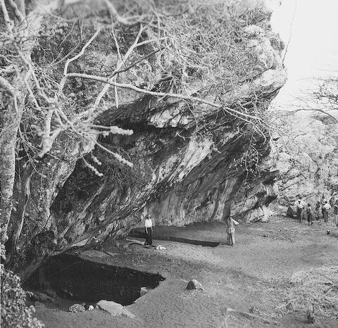 Open original Digital object