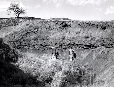 Open original Digital object