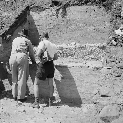 Open original Digital object