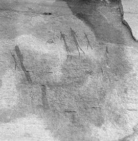 RARI ARW RSA MKF22 10P