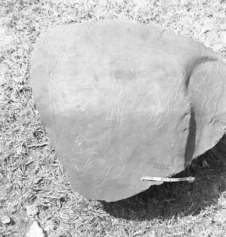 Open original Digital object