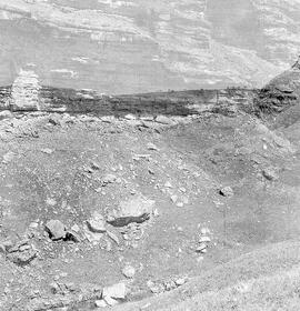 RARI ARW RSA THK1 5P