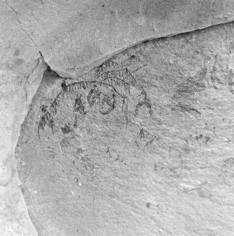 Open original Digitaal object