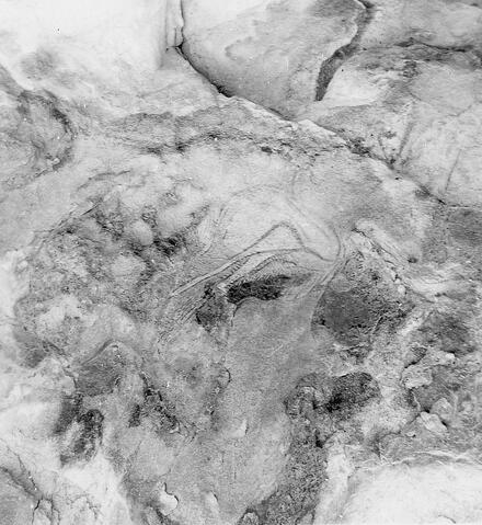 Open original Digitaal object