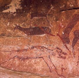 RARI ARW RSA NUT1 7H