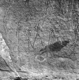 RARI ARW RSA MKF22 22H