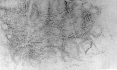 Open original Digitaal object