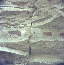 RARI ARW RSA THK1 40H