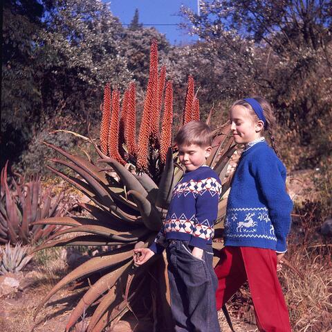 Open original Digital object