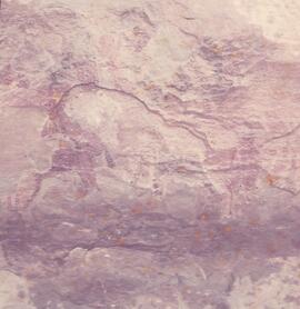 RARI ARW RSA ROL1 3H