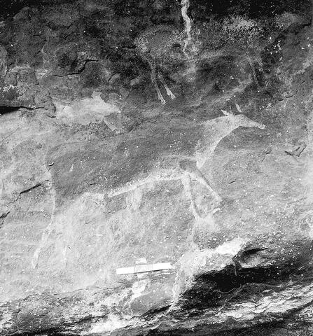 Open original Digitaal object