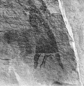 RARI ARW RSA MKF22 14H