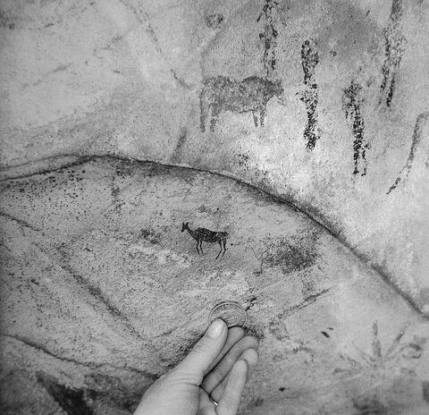 Open original Digital object