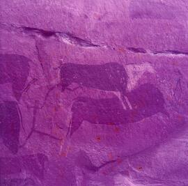 RARI ARW RSA THK1 42H