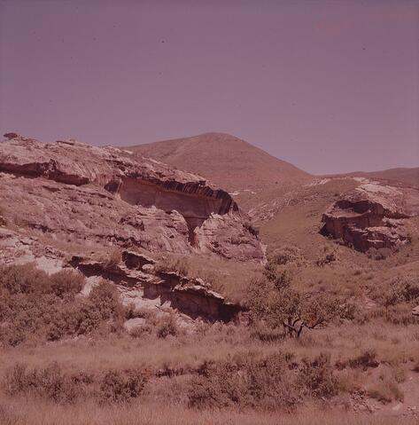 Open original Digitaal object