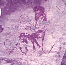 RARI ARW RSA BAR1 5H