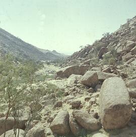 RARI ARW 01 153H