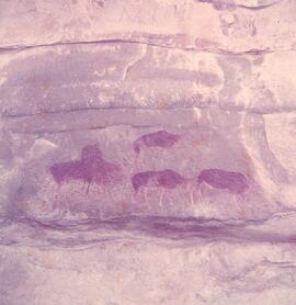 RARI ARW RSA THK1 5H