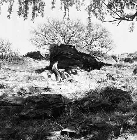 Open original Digital object