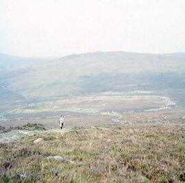 RARI ARW 01 1391H