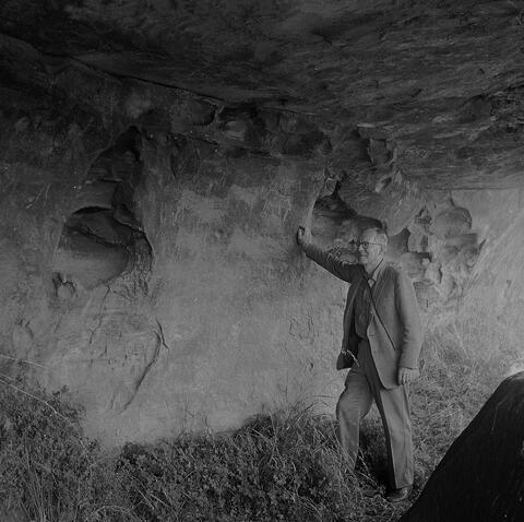 Open original Digital object