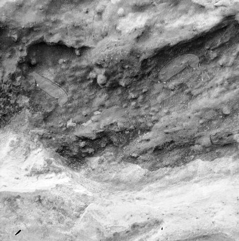 Open original Digitaal object