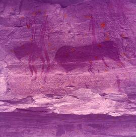 RARI ARW RSA THK1 43H