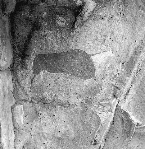 Open original Digital object