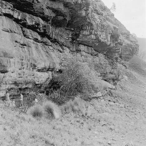 Open original Digital object