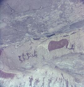 RARI ARW RSA THK1 37H