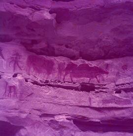 RARI ARW RSA THK1 39H