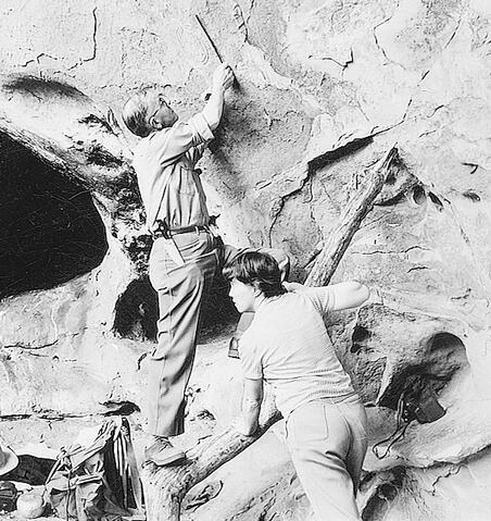 Open original Digital object