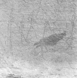 RARI ARW RSA MKF22 9P