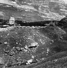 RARI ARW RSA THK1 49H