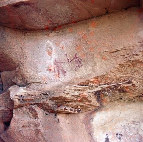 Open original Digital object