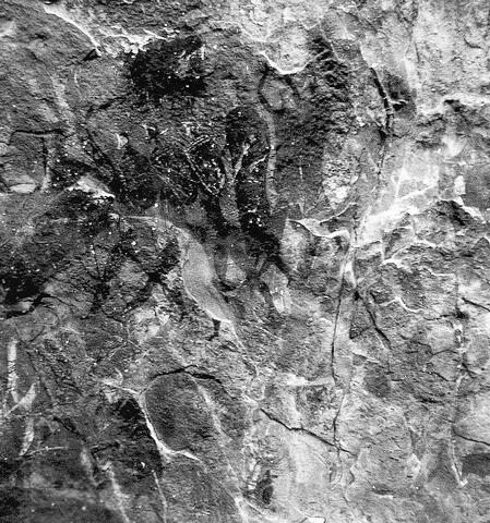 Open original Digitaal object